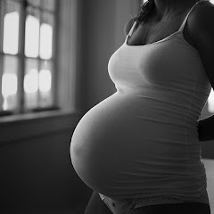 The Pregnant Lover net worth