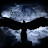 @user-bd4mi7jd6j