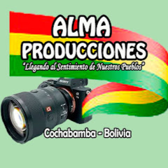 ALMA PRODUCCIONES net worth