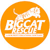What could Big Cat Rescue buy with $125.88 thousand?
