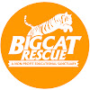 What could Big Cat Rescue buy with $125.9 thousand?