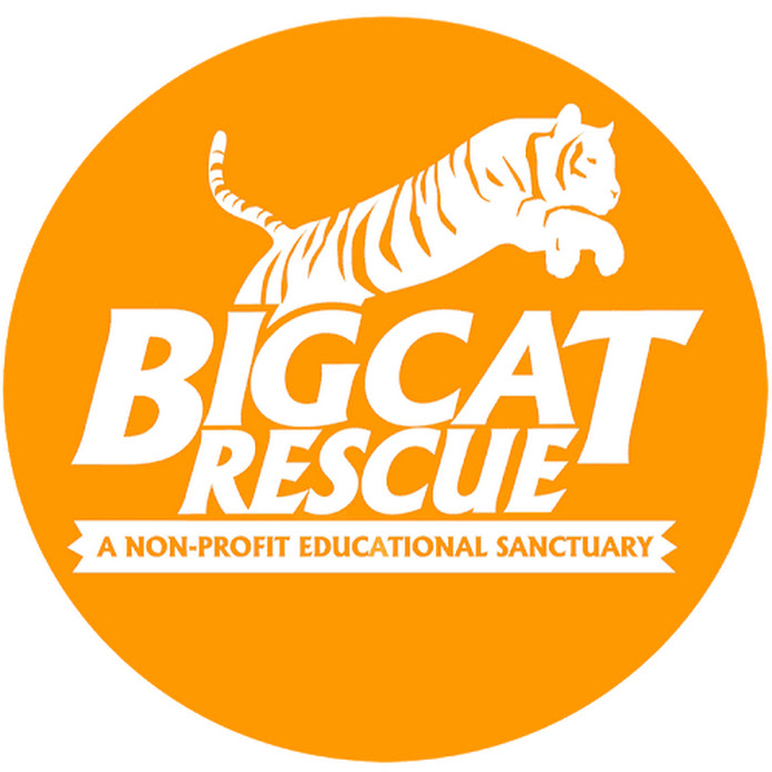 Big Cat Rescue Net Worth & Earnings (2025)