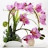 @user-jn2eg8bs8y