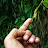 @GardeningTribes Avatar