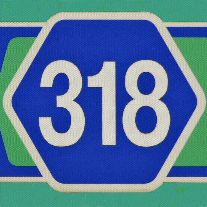 comb318 Net Worth & Earnings (2026)