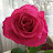 @user-vw8pf5nu7e