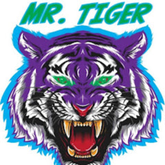 Mr. Tiger net worth
