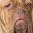 @beegdawg007 Avatar