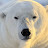 @user-sw1pf4qr2j