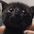 @user-bu9cp5mp2g