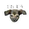 What could チワックスこたろう buy with $992.7 thousand?