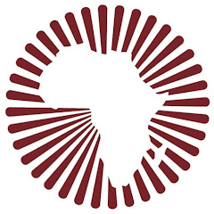 African Institute for Mathematical Sciences (South Africa) net worth