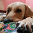 @indiyapiriyan Avatar