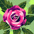 @user-rz4qv1uc1b