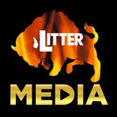 Litter Media net worth