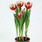 @nikolaytodorov3566 Avatar
