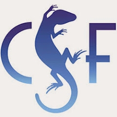 Thumbnail of related channel