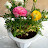 @user-wk5tl7yz9q