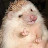 @user-ic3uw5nm6f