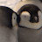 @user-co9dg9jq5f