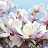 @anastasiyalife6563