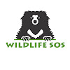 What could Wildlife SOS buy with $3.22 million?