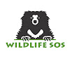 What could Wildlife SOS buy with $3.2 million?