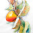 @user-wu2ms5bb3c