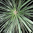 @user-df5bi5ib1q