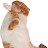 @user-dy9ll9ov5f