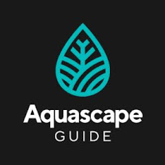 Thumbnail of related channel