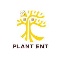 PlanT.N Entertainment net worth