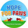 What could Hope For Paws - Official Rescue Channel buy with $1.28 million?