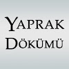 What could Yaprak Dökümü buy with $2.96 million?