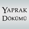 What could Yaprak Dökümü buy with $3 million?