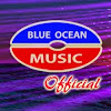 What could blueoceanmusiconline [Official] buy with $1.74 million?