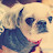 @user-ik3hy8zx9l