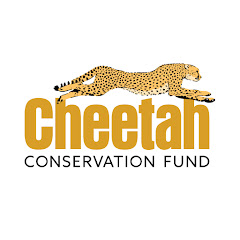 Cheetah Conservation Fund net worth