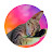 @yuvaranir7146 Avatar