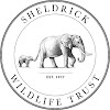 What could Sheldrick Trust buy with $258.39 thousand?