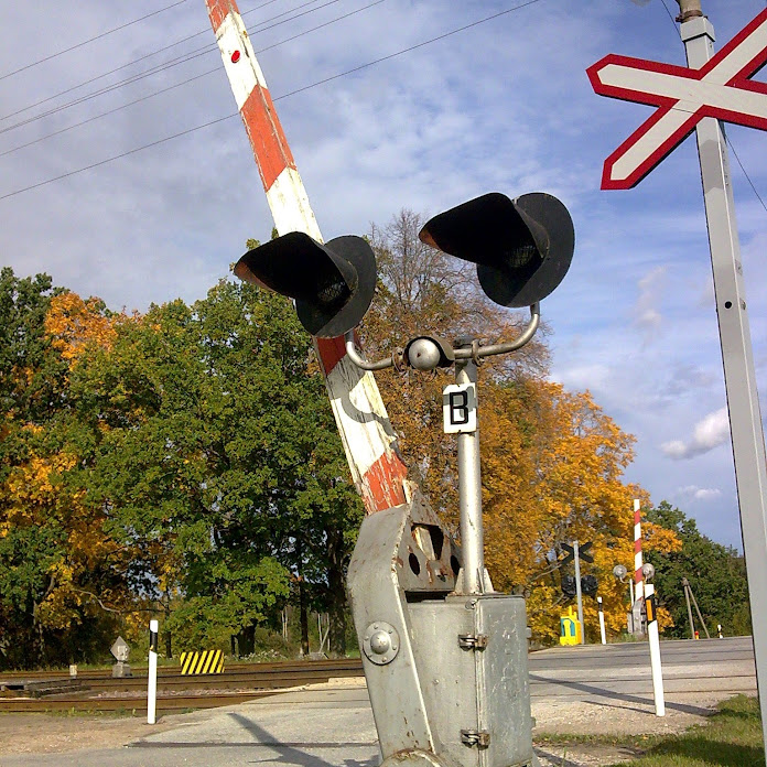 diiselrong Net Worth & Earnings (2026)