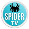 What could Spider Tv buy with $295.91 thousand?