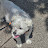 @user-zp2ec9rk6f