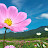 @user-rw7ty1tp5i