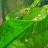 @FishBehindGlass Avatar
