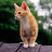 @user-cy9yw7gz7f