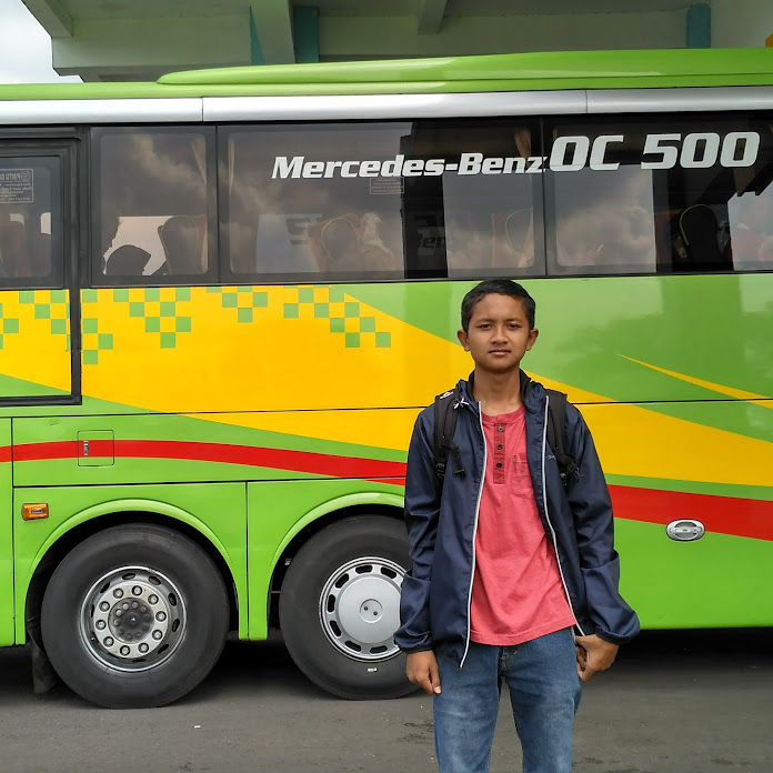 Ahmad Wildani Net Worth & Earnings (2026)