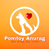 What could Pomtoy Anurag buy with $230.08 thousand?