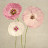 @user-gv5lc2jn6b