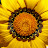 @user-uz6fb4qd9s